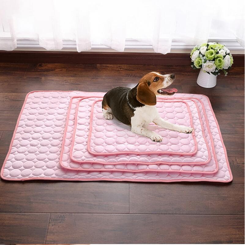 A dog resting comfortably on a cooling mat