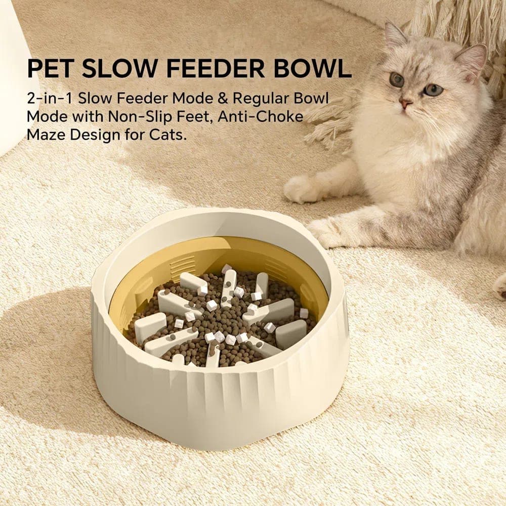 The Slow Bowl — view 3